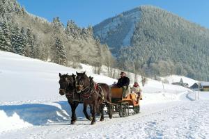 Gäste, die in der Unterkunft Am Ferienbauernhof Schmiedbauer com Salzkammergut übernachten