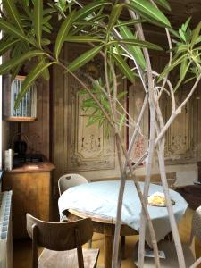 a table with a palm tree in a room at Cozy house in Gyumri