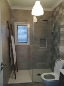 baño con ducha y aseo y ventana en Casa Sofia, en Carvalhal