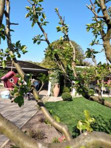 A garden outside La Casa di Linda