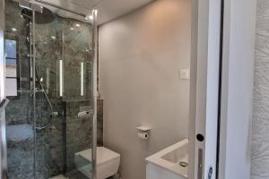 a bathroom with a shower and a toilet and a sink at Parlement - Beau Studio lumineux in Rennes