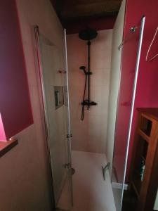 a shower with a glass door in a bathroom at Cottage house-Augustow Primeval Forest, near lake in Płaska