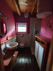 a pink bathroom with a sink and a toilet at Cottage house-Augustow Primeval Forest, near lake in Płaska