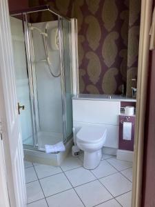 łazienka z prysznicem i toaletą w obiekcie Llety Betws w mieście Betws-y-coed