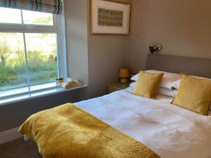 Un dormitorio con una cama grande y una ventana en Llety Betws en Betws-y-coed