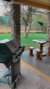 una parrilla y una mesa de picnic en un parque en Tu Cabaña en Boquete en Alto Boquete