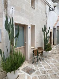 a courtyard with two chairs and cactus plants in front of a building at Musciu ti Lammia in Manduria