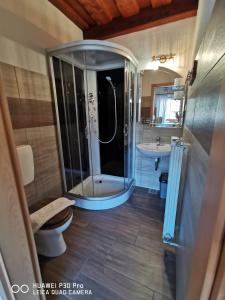 a bathroom with a shower and a toilet and a sink at Bed&Breakfast Anž'k in Bled