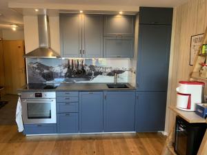 Kuchyň nebo kuchyňský kout v ubytování Verbier Medran apartment