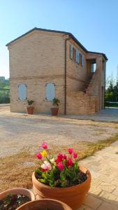 The building in which a panziókat is located