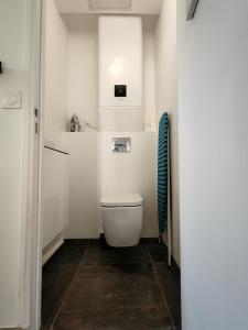 ein kleines Bad mit WC in einem Zimmer in der Unterkunft Cosy Appartement T2 proche Paris in Ivry-sur-Seine