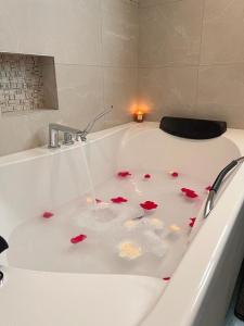 a bath tub filled with red rose petals at Le gite des 3 mousquetaires in Amboise