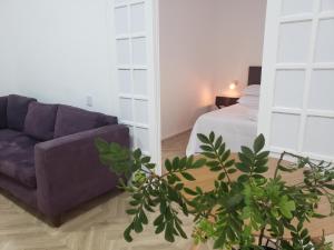 ein Wohnzimmer mit einem Sofa und einem Bett in der Unterkunft Feliccità Pousada in Extrema