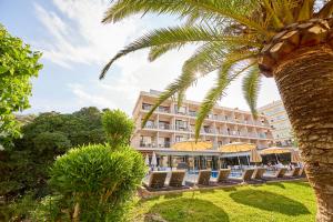 a hotel with chairs and umbrellas and a palm tree at NURA Condor in Playa de Palma