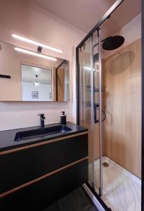 een badkamer met een wastafel en een douche bij Studio cosy proche du lac d'Enghien in Soisy-sous-Montmorency