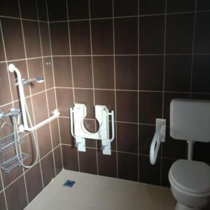 a bathroom with a toilet and a tiled wall at Baráthegyi Panzió és élménypark in Miskolc