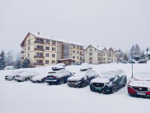 Apartment Mountain view - Stará Lesná during the winter