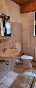 a bathroom with a toilet and a sink at Ferienwohnung zum Rheinblick in Kestert +33 photos