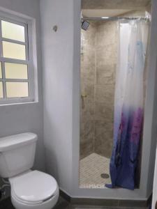 a bathroom with a shower with a toilet and a window at Casa la CEIBA in Tancama