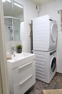 a bathroom with a sink and a washing machine at Victoriagården- Losji in Grimstad