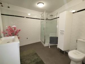 y baño con ducha, aseo y lavamanos. en La Casita de BEMI en Bois-Jérôme-Saint-Ouen