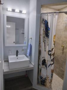 a bathroom with a sink and a shower curtain at Casa la CEIBA in Tancama