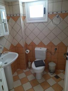 a bathroom with a toilet and a sink and a window at SummerAndros Skalario in Andros +48 photos