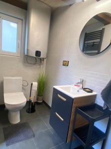 un bagno con un water, un lavandino e uno specchio di Roztocze - Domek - Trzy Sosny a Rebizanty Altre 11 foto