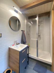 un bagno con lavandino e doccia di Roztocze - Domek - Trzy Sosny a Rebizanty