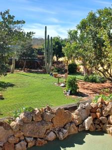a garden with a cactus and a stone wall at Casa Bril in Cumeada