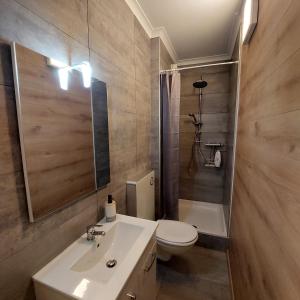 uma casa de banho com um lavatório, um WC e um espelho. em Le Berceau des Croisades em Bouillon