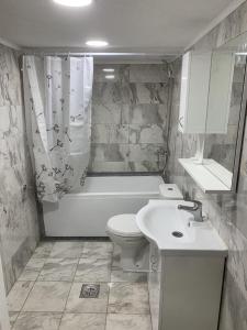 een badkamer met een wastafel, een toilet en een bad bij Demo's Place in Gusinje