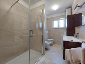 a bathroom with a shower and a toilet and a sink at Apartment Neda in Punat +25 photos