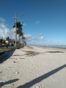 モンガグァーにあるEPK House Mongaguáのヤシの木と海の空きビーチ