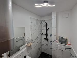 a bathroom with a shower and a toilet and a sink at Apartman"Petra" in Krk