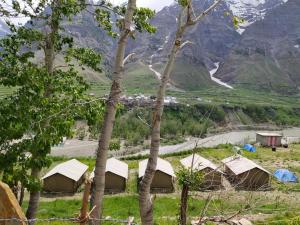 a group of tents in a field with mountains at Chandra Bhaga camps in Tāndi