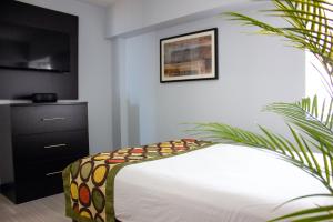 1 dormitorio con cama y planta en Sun & Sand Resort Oceanfront Suites, en Virginia Beach