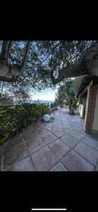 Elle offre une vue sur un patio avec un arbre. dans l'établissement Villa Oasi Naturale, à Marina di Camerota