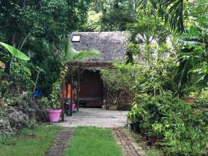 a small house in the middle of a garden at Bungalow Le Jasmin de Nuit in Les Abymes