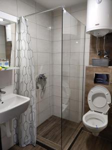 a bathroom with a shower and a toilet and a sink at Adonis in Ostrovo