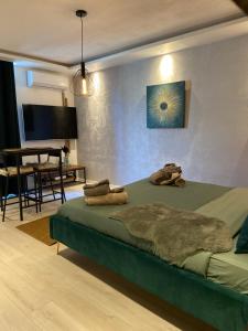 Televízia a/alebo spoločenská miestnosť v ubytovaní Appartement La Splenzia SPA Jacuzzi wifi clim + 12 fotografií