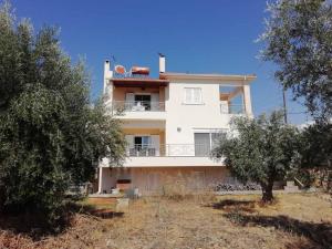 a large white house with trees in front of it at Rural 3-bedroom house Kalamata in Kalamata