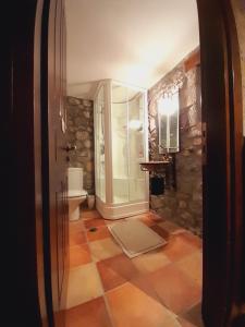 a bathroom with a shower and a toilet at Chalet Montagne 