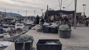 a group of boats are docked in a marina at Apartma Ela in Koper