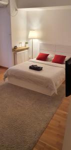 ブカレストにあるStudio Confort 2のベッドルーム1室(大型ベッド1台、赤い枕付)