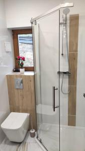 ein Badezimmer mit Toilette und Glasdusche in der Unterkunft Apartamenty Klangor in Mrągowo + 65 Fotos