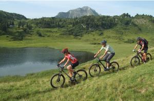 three people riding bikes on a hill near a lake at Ferienhaus Schindeler in Mellau