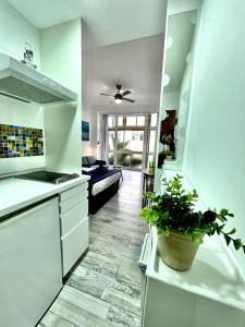 eine weiße Küche mit Topfpflanze und ein Wohnzimmer in der Unterkunft PALMERAS 102 in Las Palmas de Gran Canaria