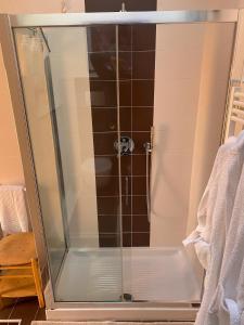 een douche met een glazen deur in de badkamer bij fabio strano in Spresiano