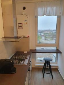 een kleine keuken met een fornuis en een raam bij New Luxury Flat Near City Center in Timişoara